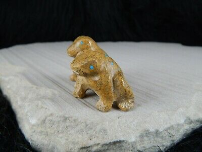 Frogs Zuni Fetish Carving - Nelson Yatsattie - High Lonesome Trading