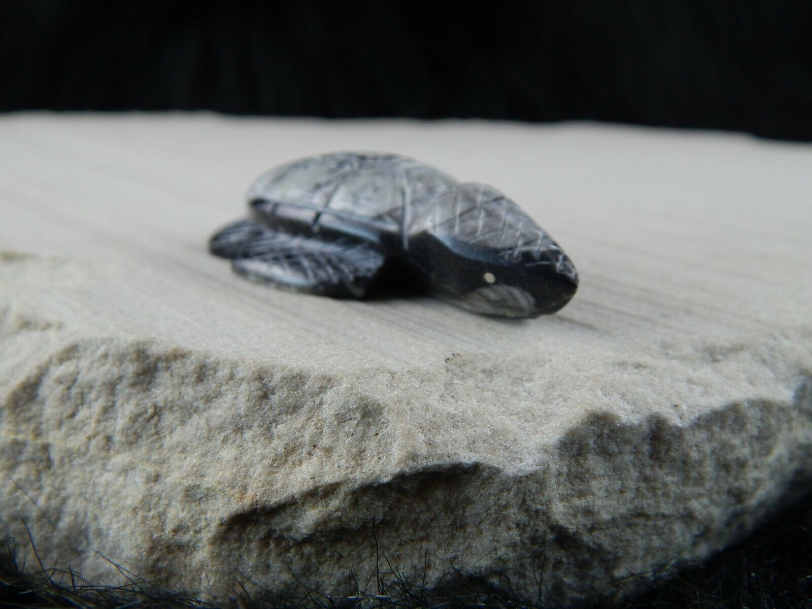 Turtle Zuni Fetish Carving - Kenny Cheama - High Lonesome Trading