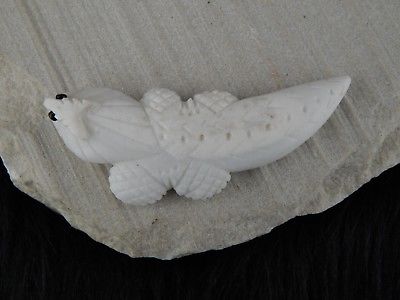 Lizard Zuni Fetish Carving - Lee Bedonie - High Lonesome Trading