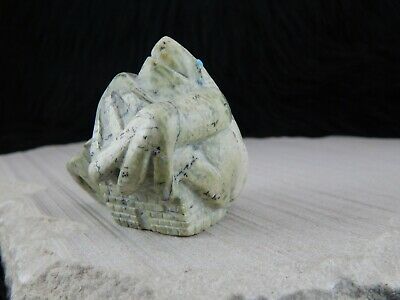 Frog Zuni Fetish Carving - Evan Cachini - High Lonesome Trading