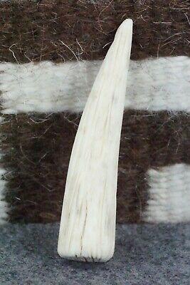 Corn Maiden Zuni Fetish Carving - Allison White - High Lonesome Trading