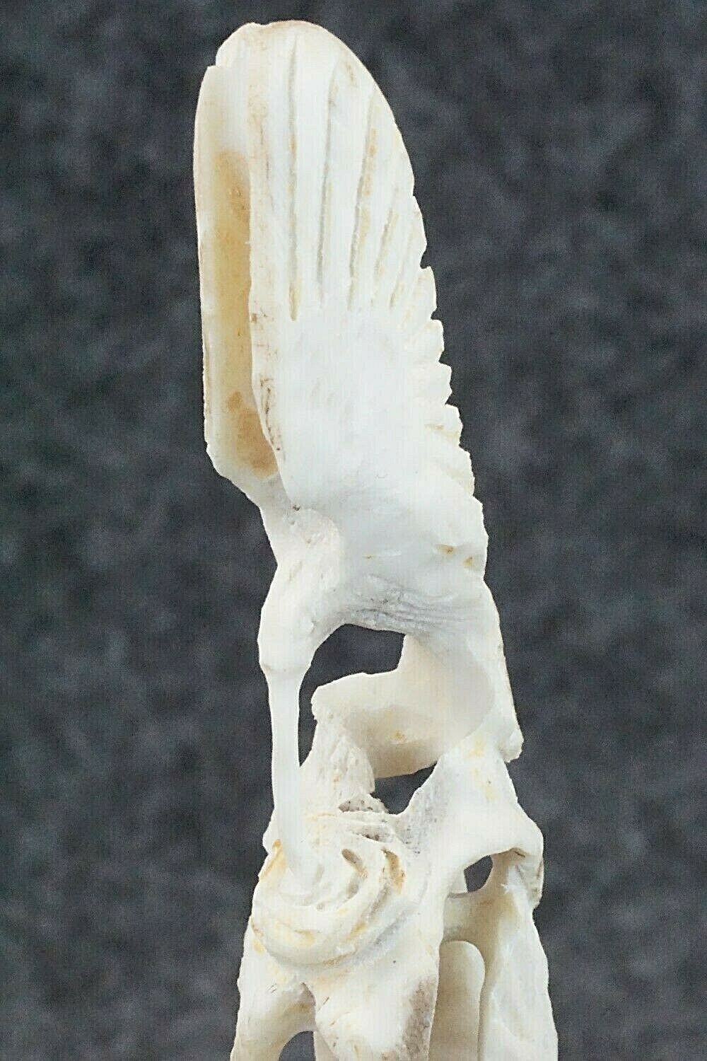 Humming Bird Zuni Fetish Carving - Lewis Malie Jr.