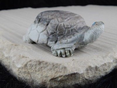 Turtle Zuni Fetish Carving - Darrell Westika - High Lonesome Trading