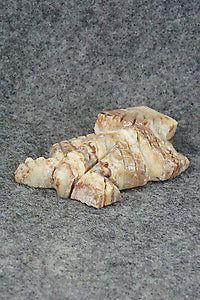 Horned Toad Zuni Fetish Carving - Carl Etsate