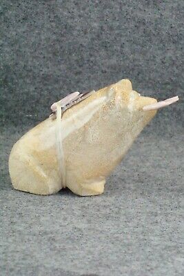 Bear Zuni Fetish Carving - Delvin Leekya