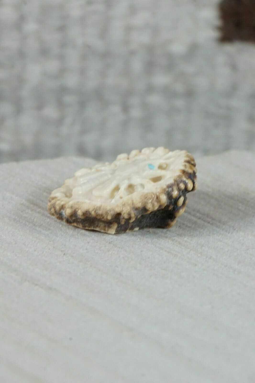 Bug Zuni Fetish Carving - Maxx Laate - High Lonesome Trading