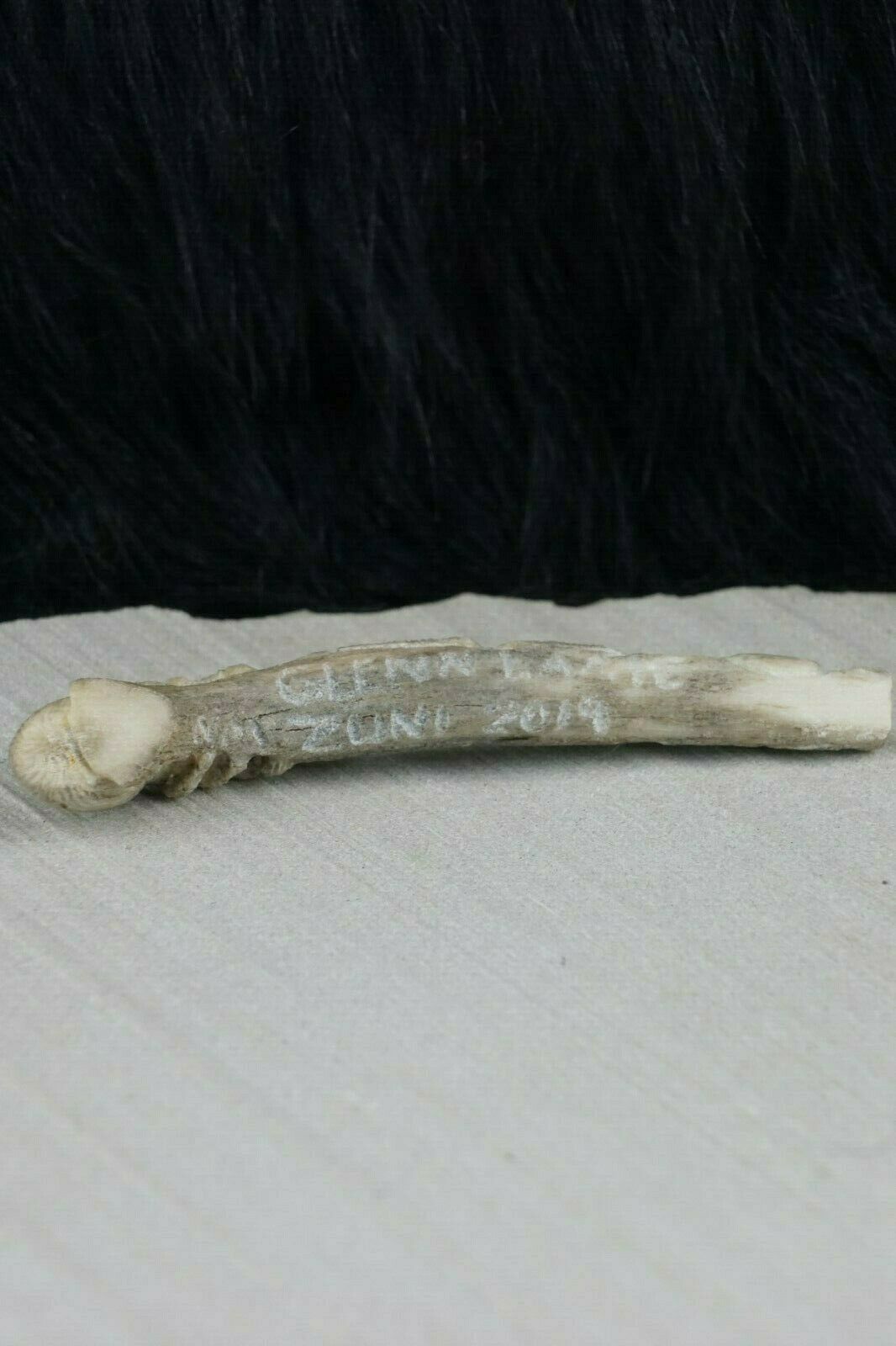 Mountain Lion & Spider Zuni Fetish Carving - Glenn Laate - High Lonesome Trading