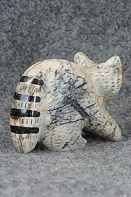 Racoon Zuni Fetish Carving - Eli Cheama