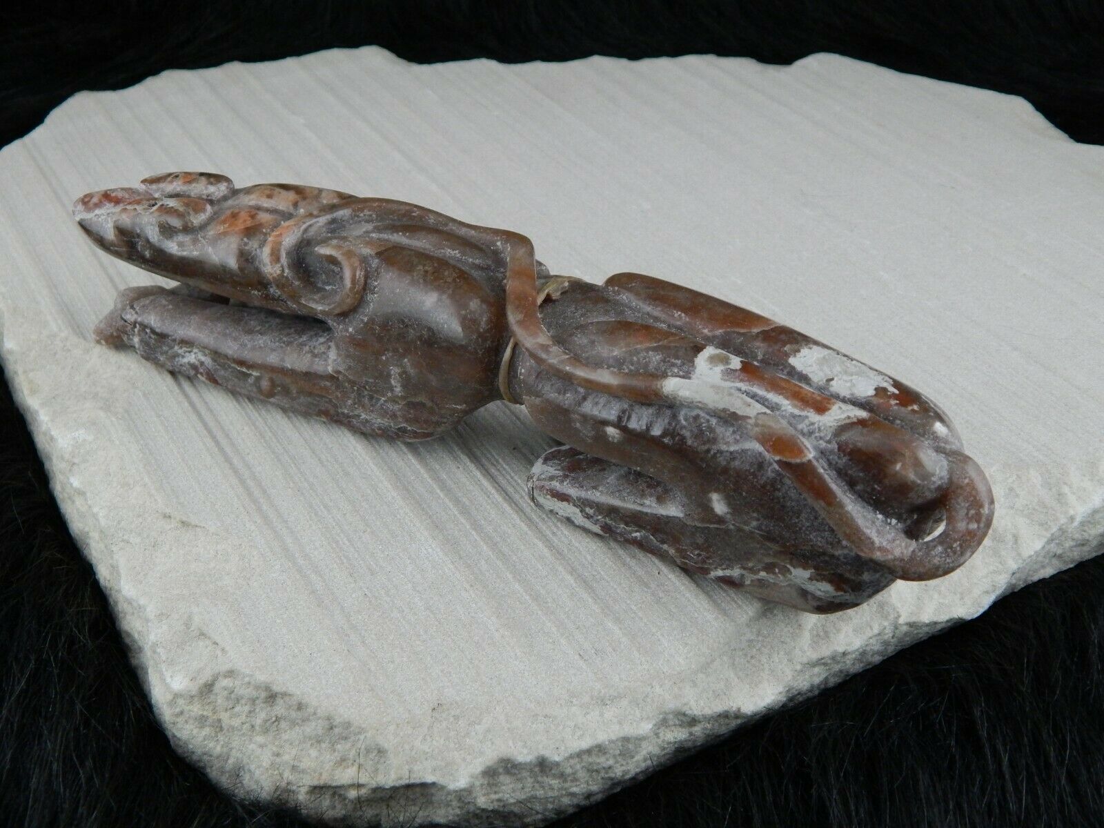 Bear Zuni Fetish Carving - Rick Kallestewa - High Lonesome Trading