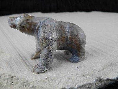 Bear Zuni Fetish Carving - Herbert Him - High Lonesome Trading