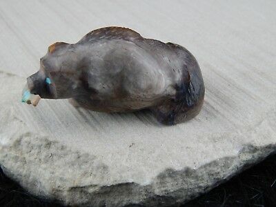 Bear Zuni Fetish Carving - Douglas Martza - High Lonesome Trading