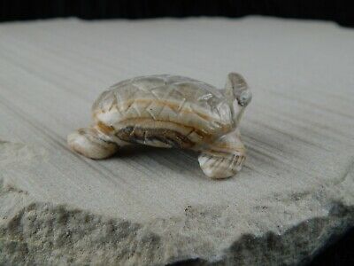 Turtle Zuni Fetish Carving - Wilfred Cheama - High Lonesome Trading