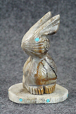 Rabbit Zuni Fetish Carving - Stafford Chimoni