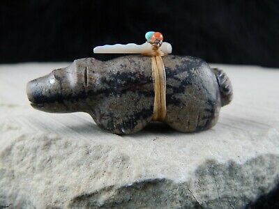 Bear Zuni Fetish Carving- Peter Gasper - High Lonesome Trading