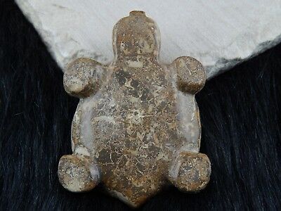 Turtle Zuni Fetish Carving - Reynold Lunasee - High Lonesome Trading