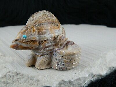 Armadillo Zuni Fetish Carving - Evan Cachini - High Lonesome Trading