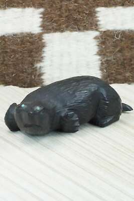 Mole Zuni Fetish Carving - Derrick Kaamasee