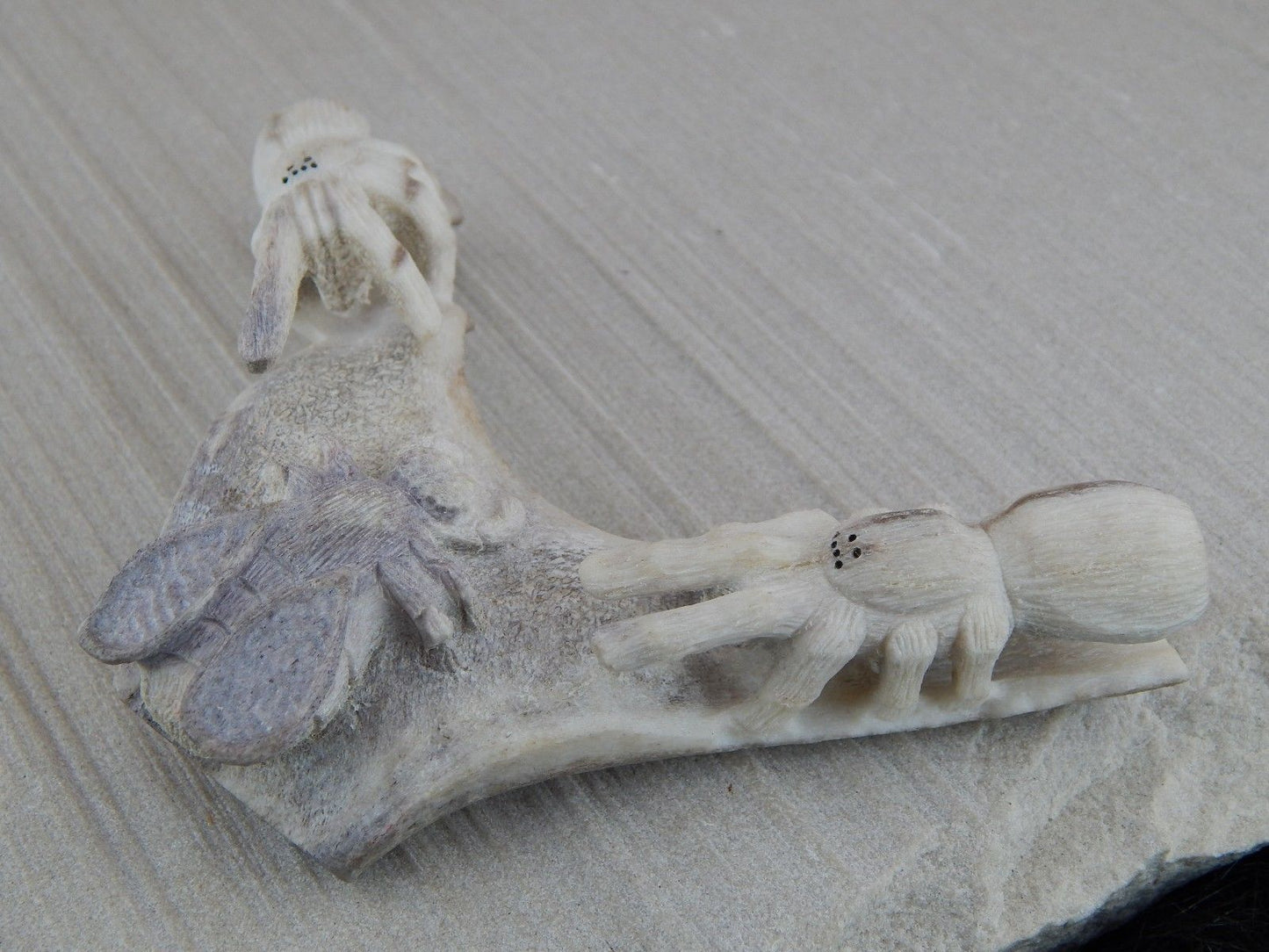 Spider & Bug Zuni Fetish Carving - Glenn Laate - High Lonesome Trading