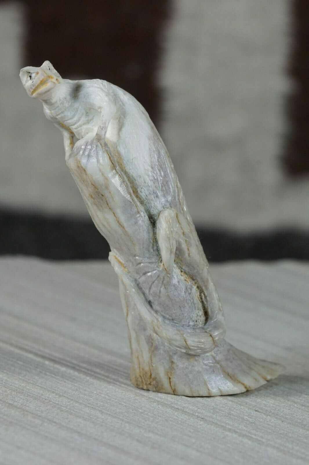 Iguana Zuni Fetish Carving - Lewis Malie - High Lonesome Trading