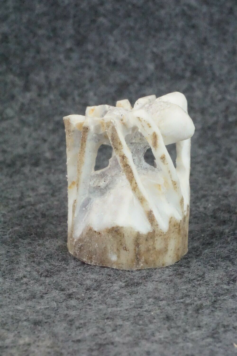 Spider Zuni Fetish Carving - Lewis Malie Jr.