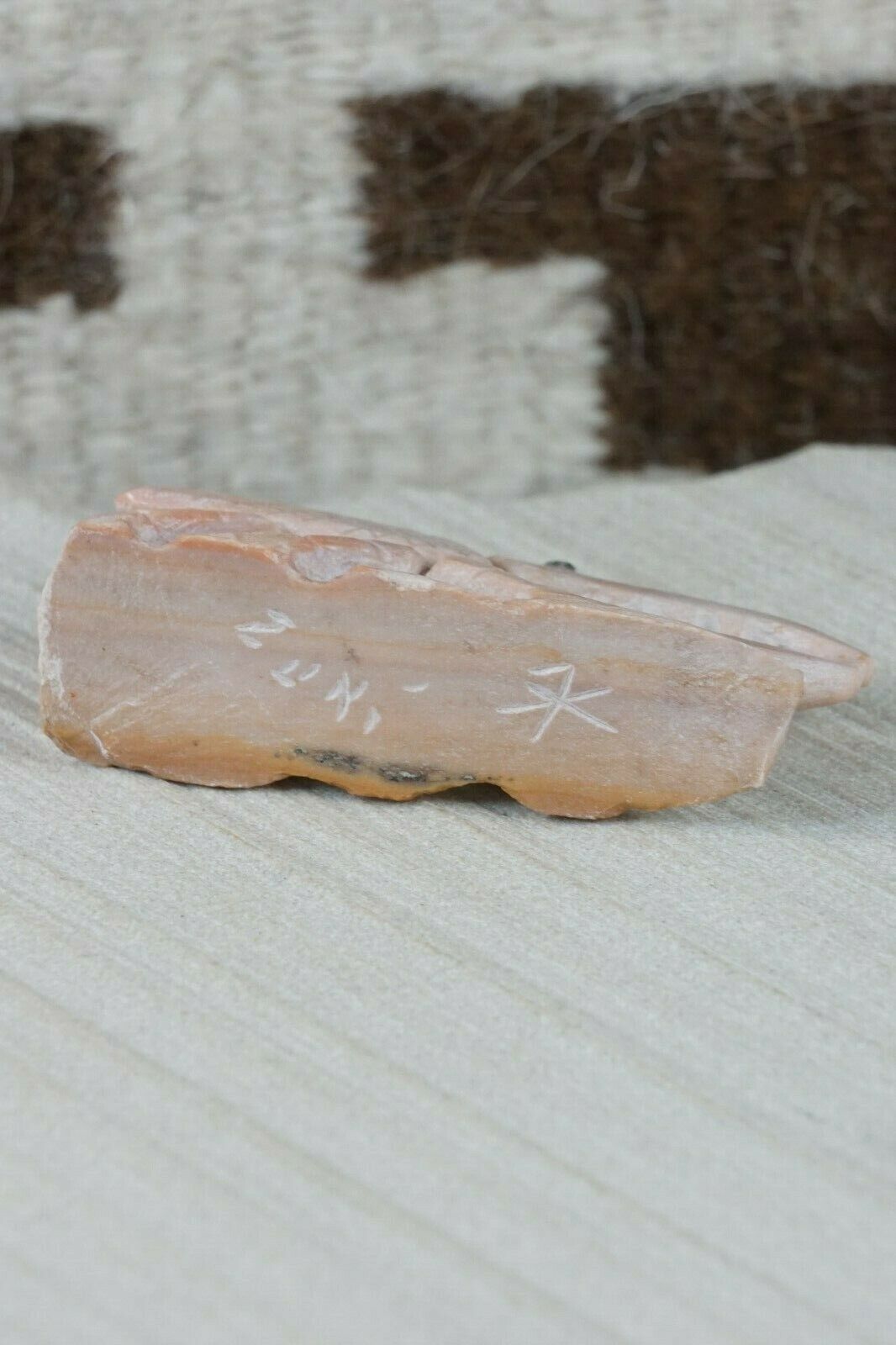 Beetle Zuni Fetish Carving - Derrick Kaamasee - High Lonesome Trading