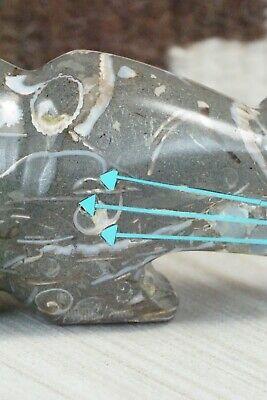 Bear Zuni Fetish Carving - Bernard Laiwakete - High Lonesome Trading