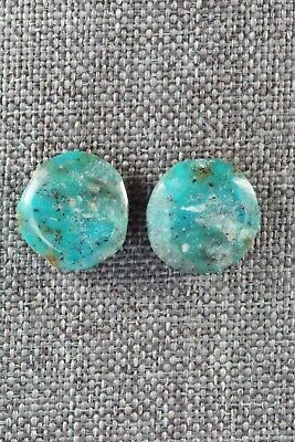 Turquoise & Sterling Silver Earrings - Joann Garcia