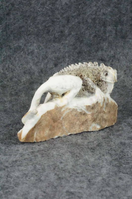 Iguana Zuni Fetish Carving - Lewis Malie Jr.