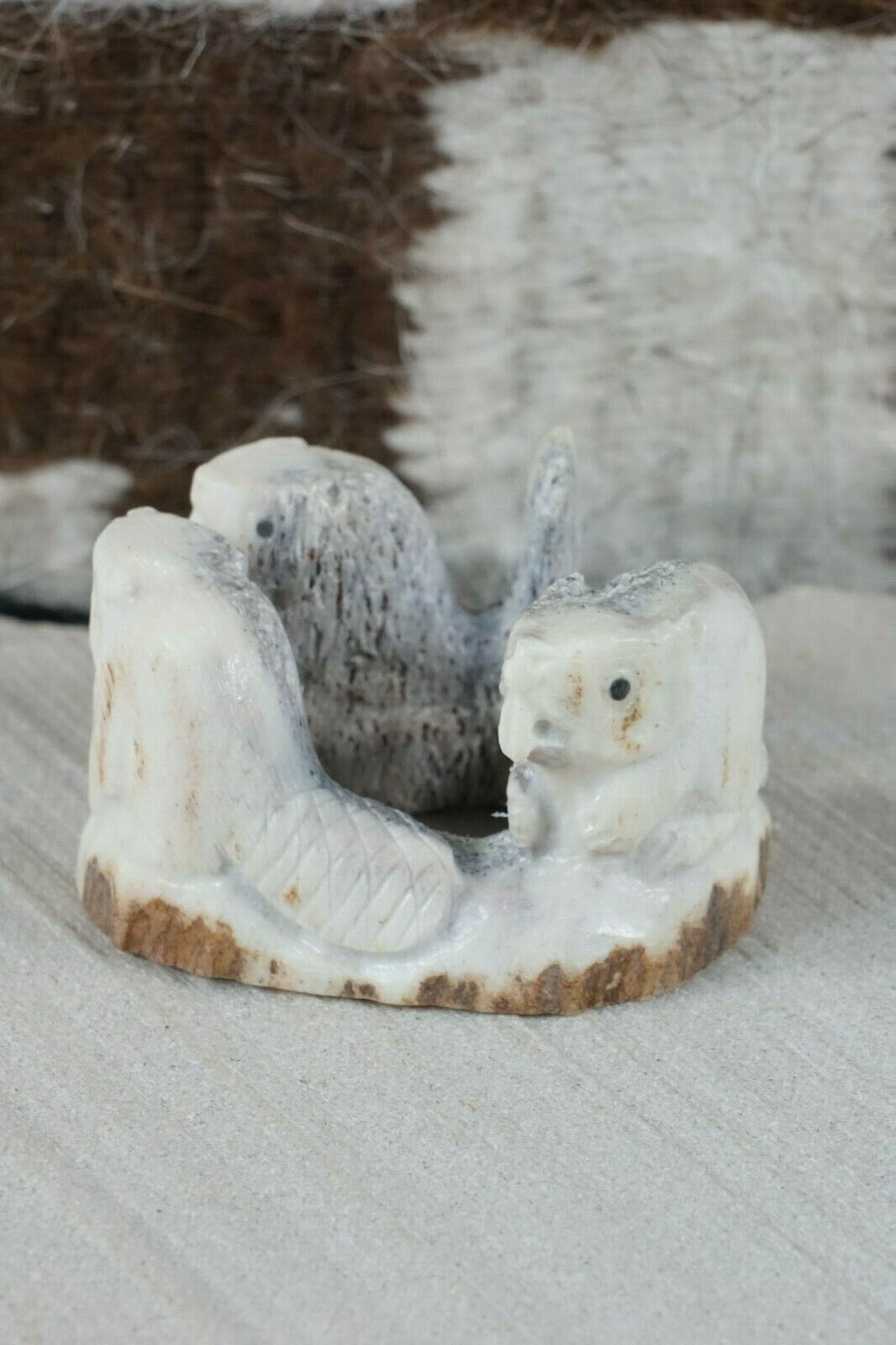 Beaver Zuni Fetish Carving - Maxx Laate - High Lonesome Trading