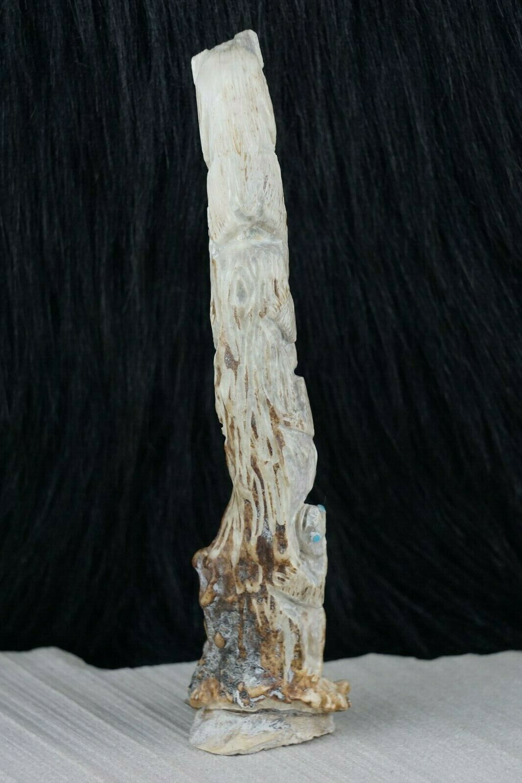 Bear Zuni Fetish Carving - Derrick Kaamasee - High Lonesome Trading