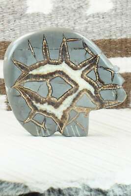 Bear Zuni Fetish Carving - Daphne Quam