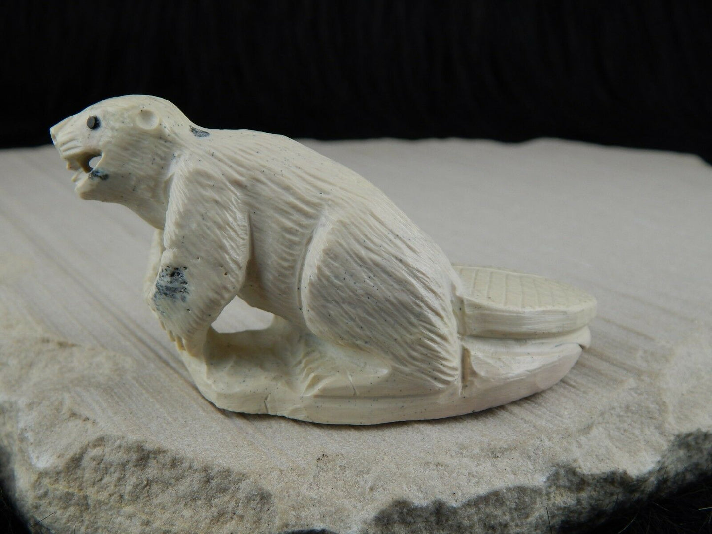Beaver Zuni Fetish Carving- Derrick Kaamasee - High Lonesome Trading