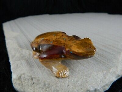 Frog Zuni Fetish Carving - Nelson Yatsattie - High Lonesome Trading