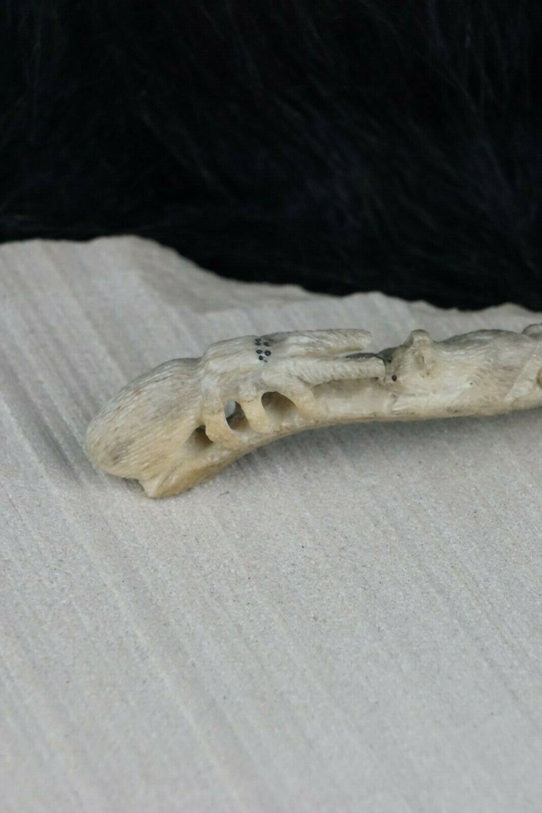 Mountain Lion & Spider Zuni Fetish Carving - Glenn Laate - High Lonesome Trading