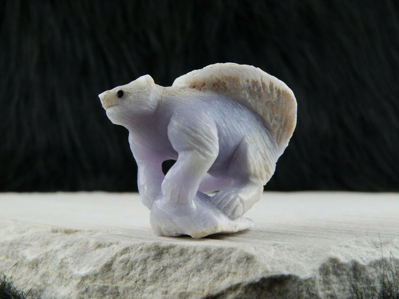 Skunk Zuni Fetish Carving - Derrick Kaamasee - High Lonesome Trading
