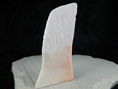 Chief Zuni Fetish Carving - Native American - High Lonesome Trading