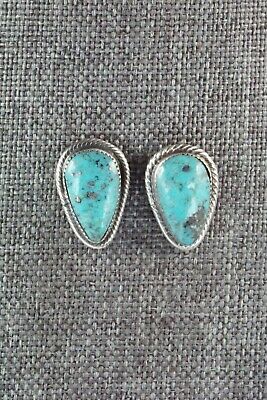 Turquoise & Sterling Silver Necklace and Earrings - Bobby Platero