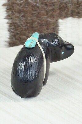 Bear Zuni Fetish Carving - Herbert Halate - High Lonesome Trading
