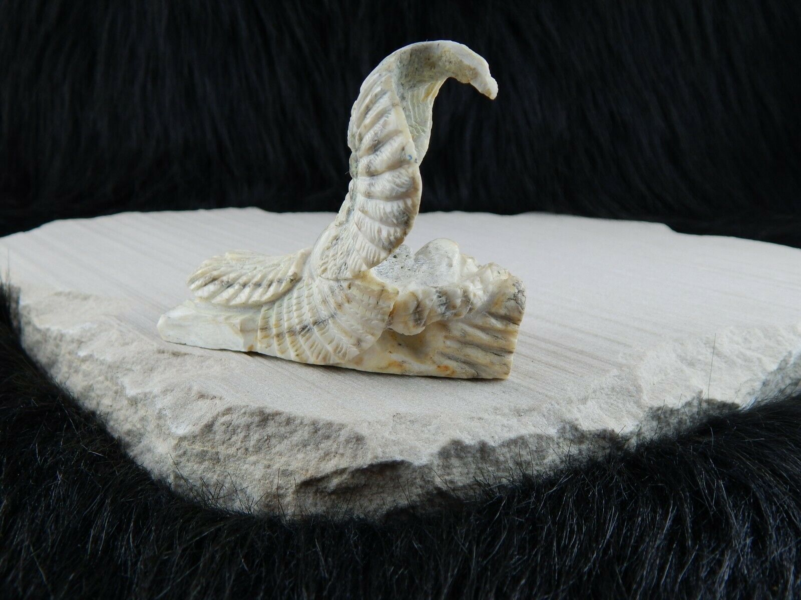 Eagle Zuni Fetish Carving - Jerrold Lahaleon - High Lonesome Trading