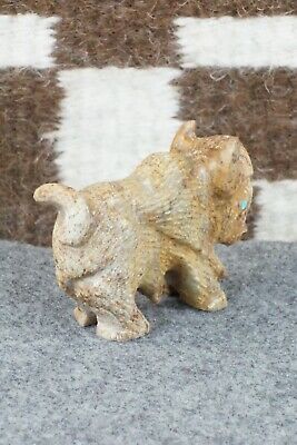 Buffalo Zuni Fetish Carving - Tony Mackel