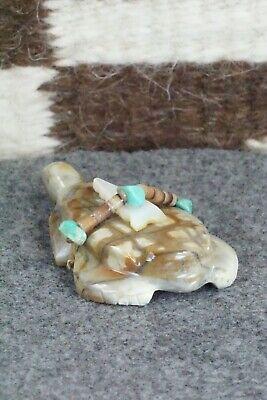 Turtle Zuni Fetish Carving - Daisy Natewa - High Lonesome Trading