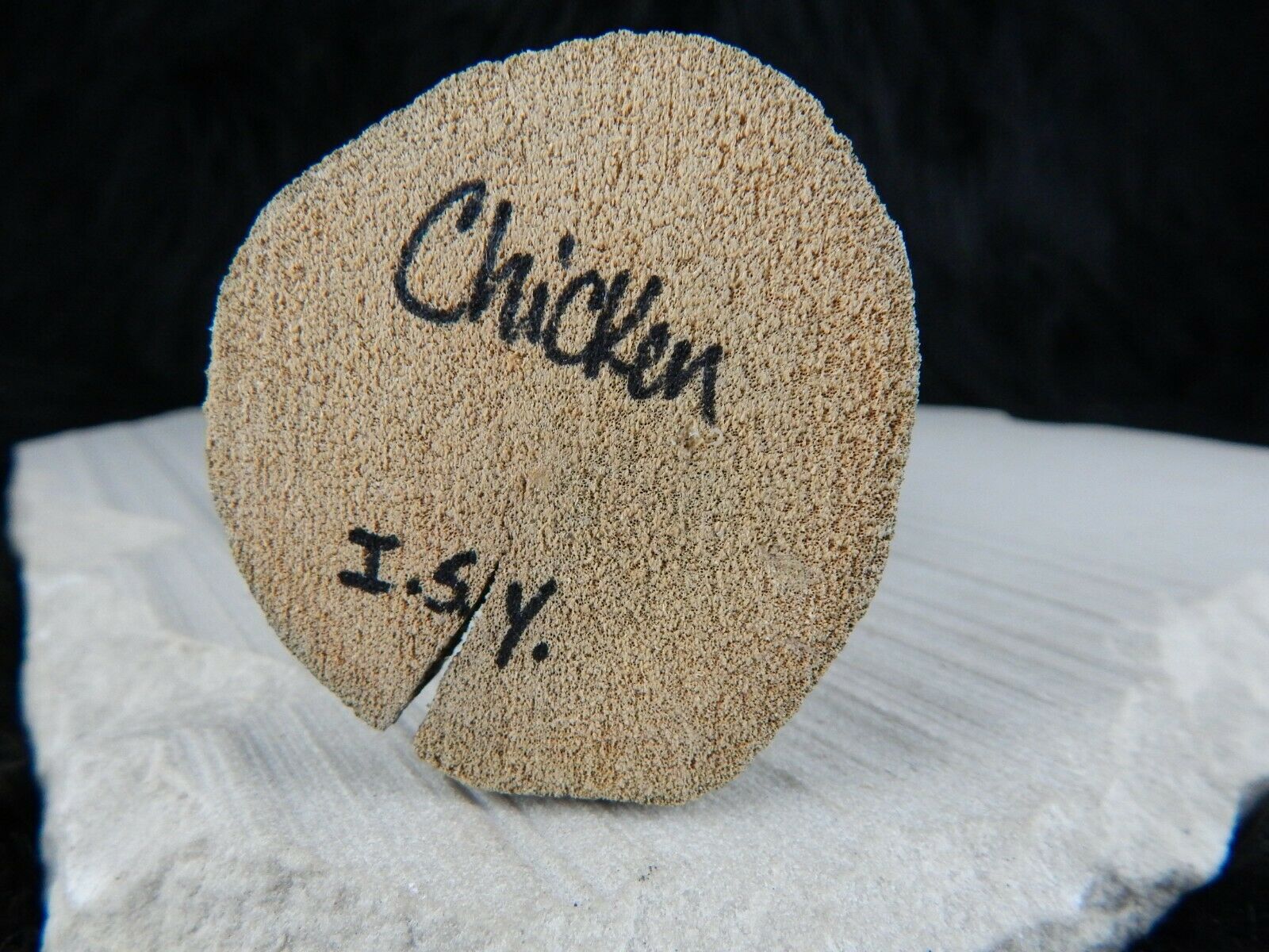 Navajo Chicken Folk Art - I.S. Yaz - Native American - High Lonesome Trading