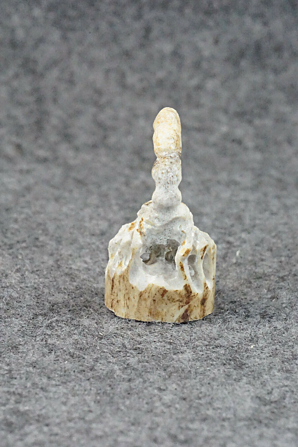 Scorpion Fetish Carving - Lewis Malie Jr.
