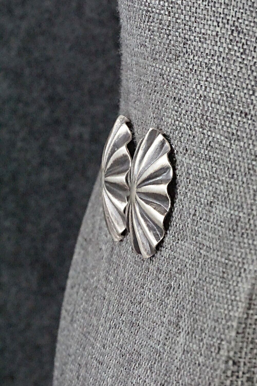 Sterling Silver Earrings - Arlene Soce
