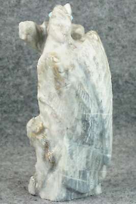 Wood Pecker Zuni Fetish Carving - Derrick Kaamasee