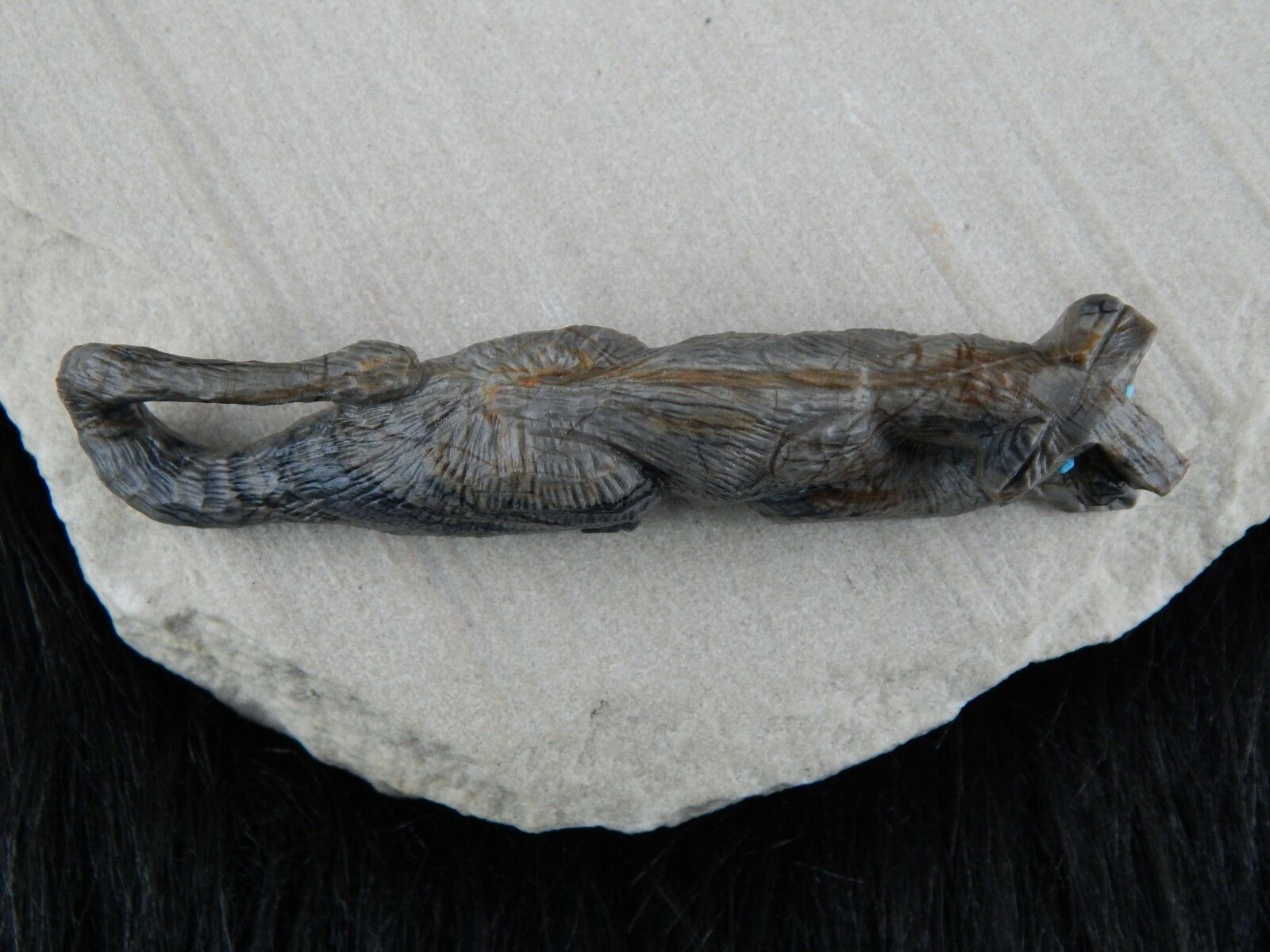 Mountain Lion Zuni Fetish Carving - Anthony Mecale - High Lonesome Trading