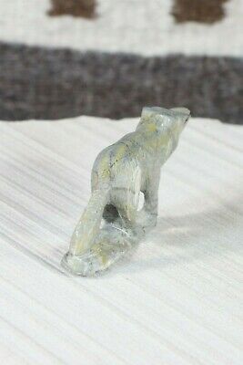 Wolf Zuni Fetish Carving - Calvin Weeka - High Lonesome Trading
