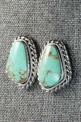 Turquoise and Sterling Silver Earrings - Sharon McCarthy