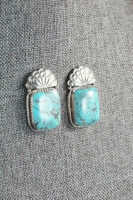 Turquoise & Sterling Silver Earrings - Sheena Jack