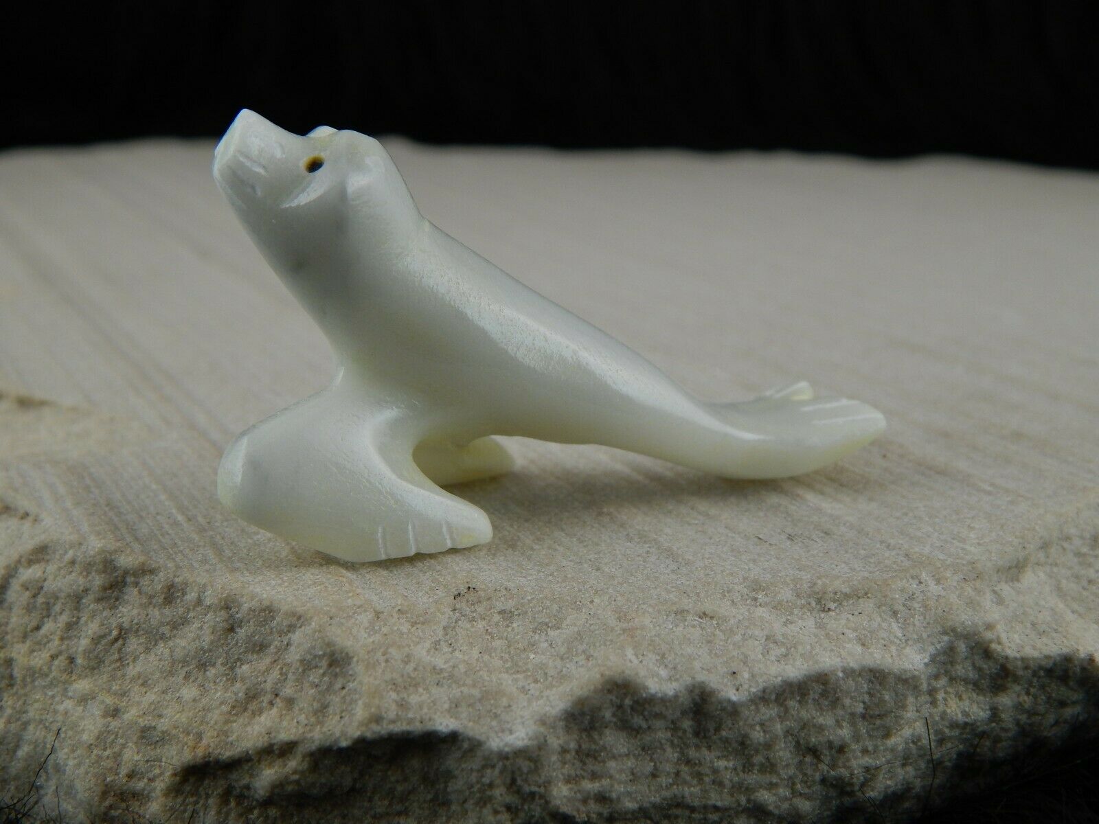 Seal Zuni Fetish Carving - Russell Shack - High Lonesome Trading